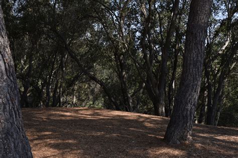 Nature Trail 的图像结果