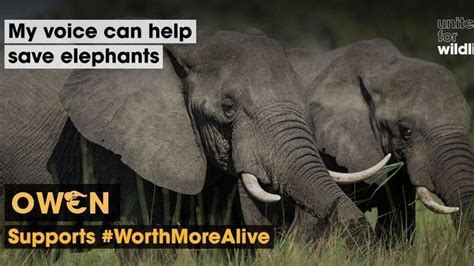 No-Trade No Killing 的图像结果