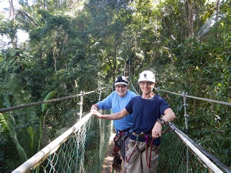 Bocawina Rainforest Rappelling and Zipline Adventure and Lunch 2022 ...