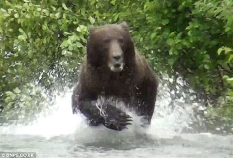 美国男子在怀俄明州大蒂顿国家公园跑步时遇到饥饿黑熊 冷静倒退走1公里脱身 - 神秘的地球 科学|自然|地理|探索