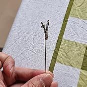 Buy Mahi Combo of Men's Brooch/Lapel Pin CO1104924M at Amazon.in