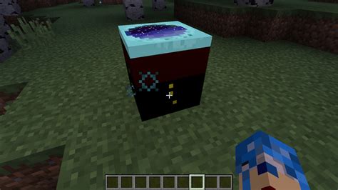 Image result for Minecraft Ladybug