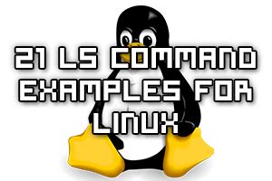 Image result for Unix Ls Command Examples