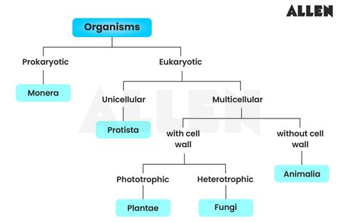 Bacteria Kingdom Classification Chapter 2 Biological Classification