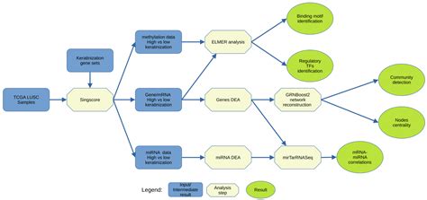 Identifying Key Regulators of Keratinization in Lung Squamous Cell ...