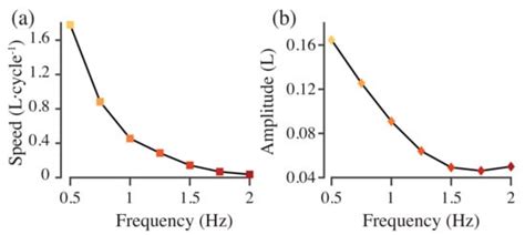 Decoding the Relationships between Body Shape, Tail Beat Frequency, and ...