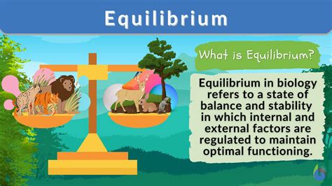 Image result for Equilibrium Equation Example