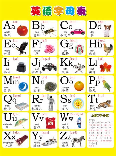 从A到Z以英语二十六个字母为首的单词表示蔬菜和水果的_百度知道