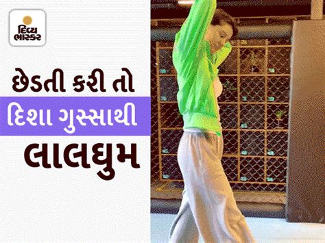 In the gym, a young man teases Disha Patni, an angry actress kicks him ...