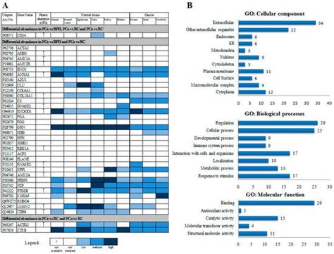 Comparative Proteomics Analysis of Urine Reveals Down-Regulation of ...