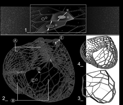 Image result for Empty Body Shell