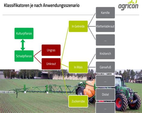 Wann kommt der Unkrautsensor? | agrarheute.com