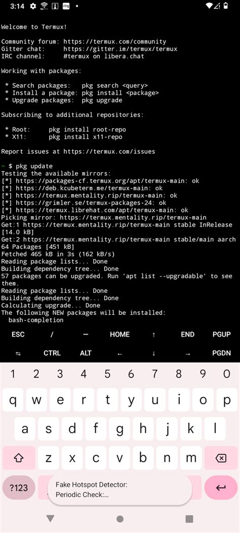 Install Nmap 的图像结果