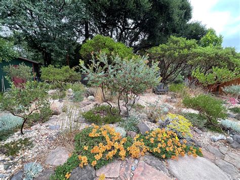 Learn more about chaparral