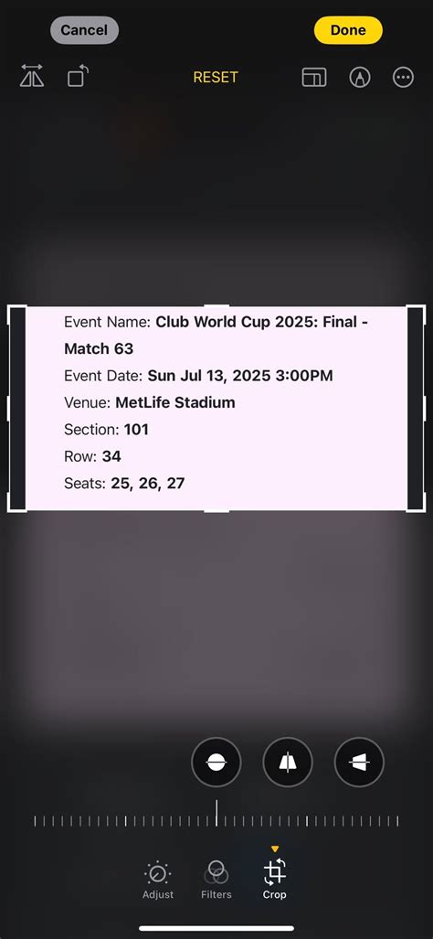 Club World Cup Final , MetLife Stadium, East Rutherford, 13 July 2025 ...