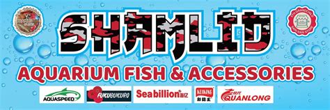 Purok Dam Polomolok south cotabato a diverse group of individuals ...