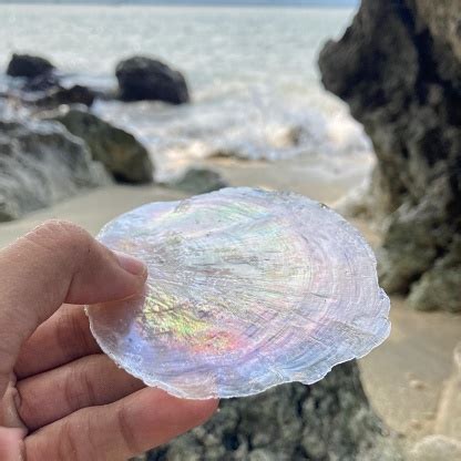 Image result for Capiz Shell Processing