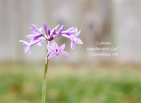 FWAC Meeting, Fellowship FWB Church, Bryan, 2 March 2024 | AllEvents