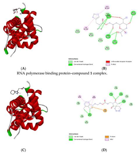 Antioxidant: Antimycobacterial and Antibiofilm Activities of Acetone ...