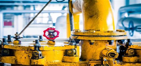 Image result for Backflow Preventer vs Check Valve