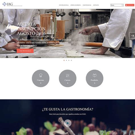 Website Designing & App Development Company India | Web Octopus