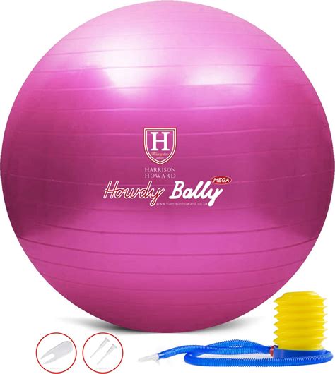 Buy Harrison Howard Mega Horse Play Ball Anti-Burst Giant Horse Ball ...