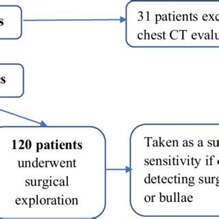 Sample Algorithm 的图像结果