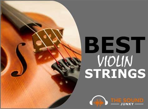 Image result for Violin