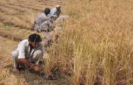 Business and Economy in Anantnag, Industries in Anantnag