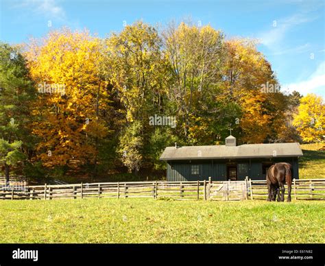 horse and barn in autumn Stock Photo - Alamy