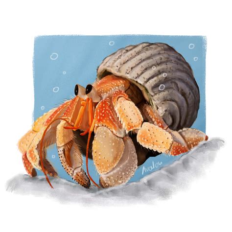 I painted a hermit crab : r/drawing