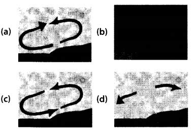 Image result for Class 7 Science Chapter 8