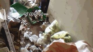 5年不扔垃圾、和80只蜘蛛同住的公寓！日本家政公司清扫过程极度舒适！ | 一兜糖 - 家的主理人社区