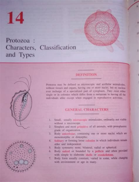 give a short description about protozoa ग्रुप - Brainly.in