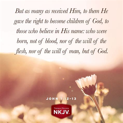 NKJV Verse of the Day: John 1:12-13 | Biblical verses, Bible verse ...