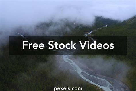 Primitive Nature 的图像结果