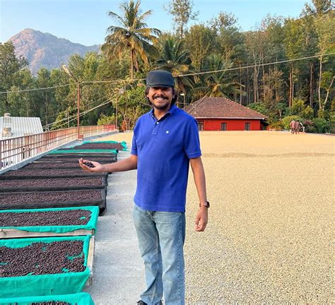 Naivo – SB Online Store