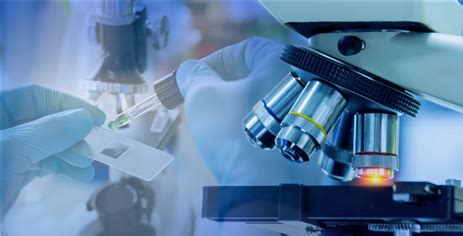 Image result for Micro Cap Biotech