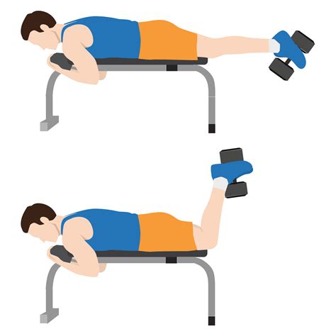 Dumbbell Hamstring Curl: Quick Workout Tips
