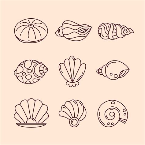 Image result for Shell Line Art