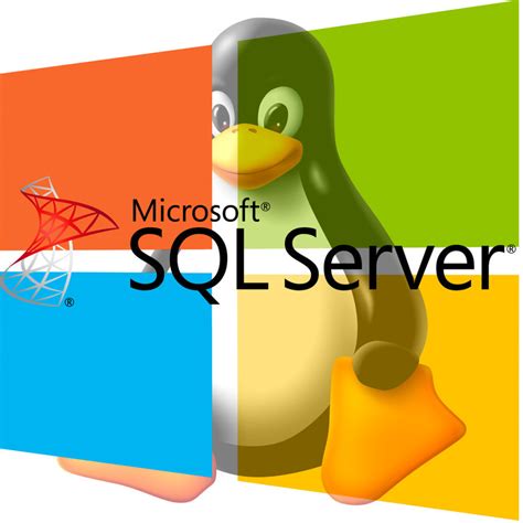 Image result for SQL Server vs Windows Server