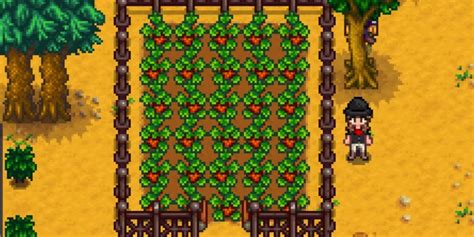 Stardew Valley: Should You Plant Strawberry Seeds Or Wait One Year?
