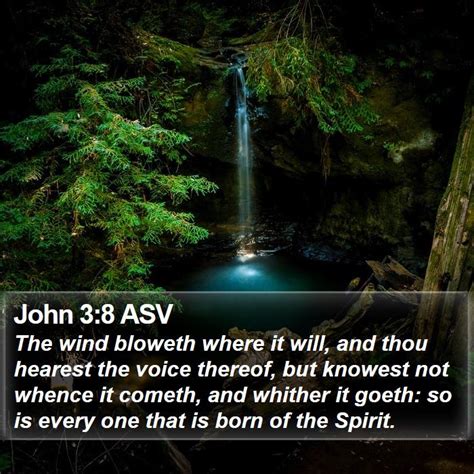 John 3:8 ASV Bible Verse Pictures