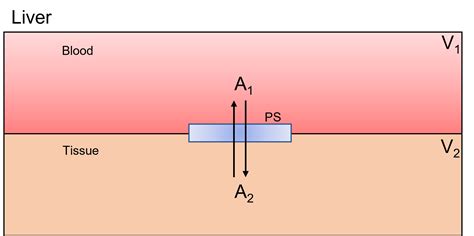 Simple Diffusion Examples 的图像结果