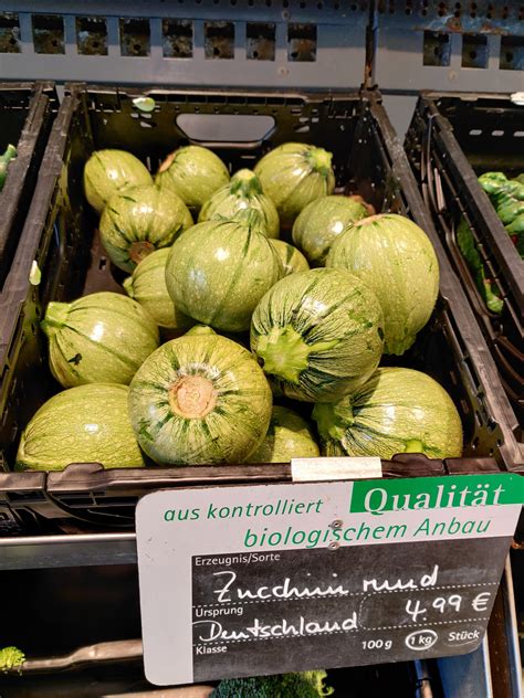 When Was Zucchini Discovered