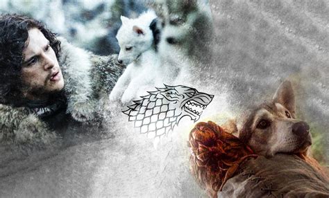 Do The Names of The Direwolves In 'Game of Thrones' Actually Predict ...