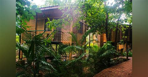 Sajan Nature Club, Thane district | LBB
