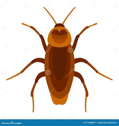 Image result for Cockroach Insect