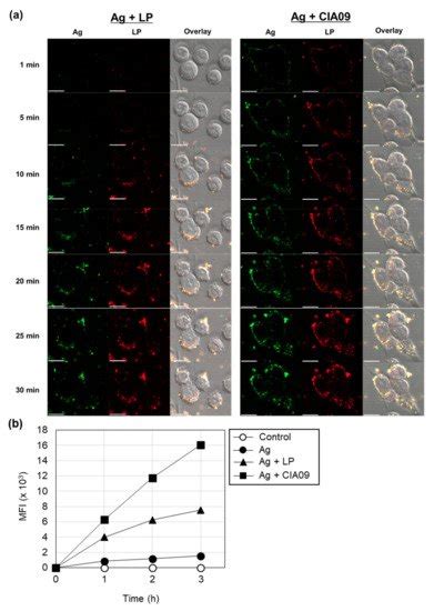 The Effect of a TLR4 Agonist/Cationic Liposome Adjuvant on Varicella ...