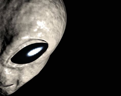 Image result for Alien Face Wallpaper